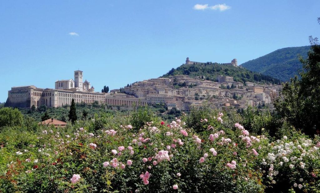 Assisi! Assisi!